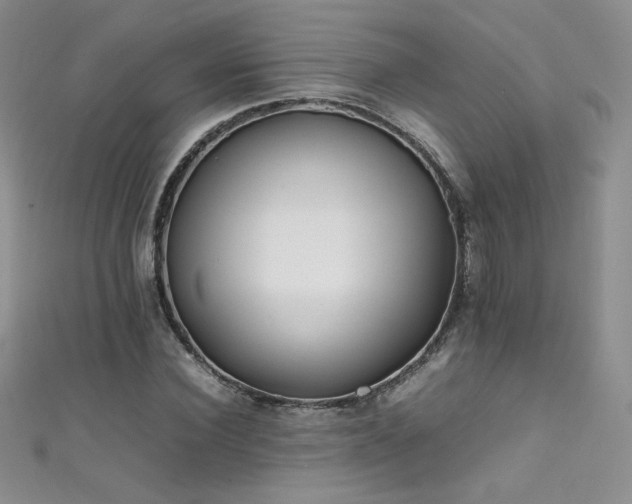 X0000111490924200907141236