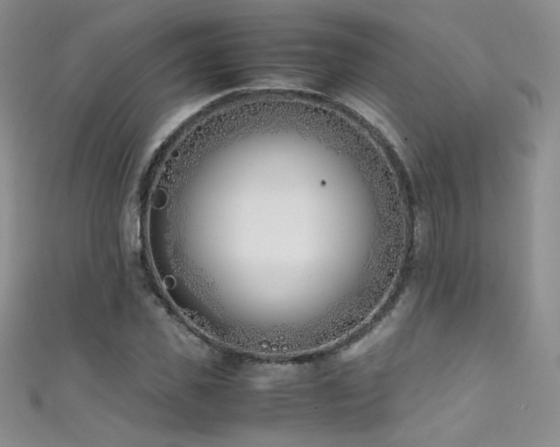 X0000111490925200907141236