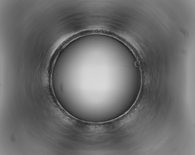X0000111490927200907141236