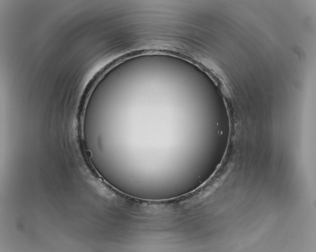 X0000111490928200907141236