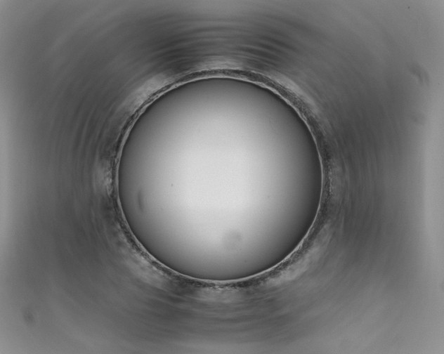 X0000111490929200907141236
