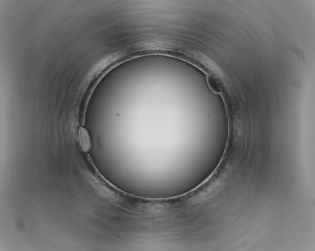 X0000111490930200907141236
