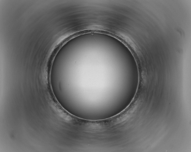 X0000111490931200907141236