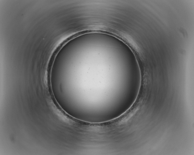X0000111490932200907141236