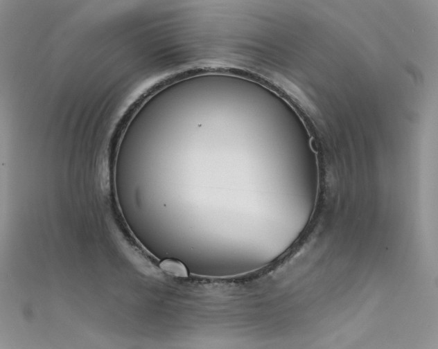 X0000111490934200907141236