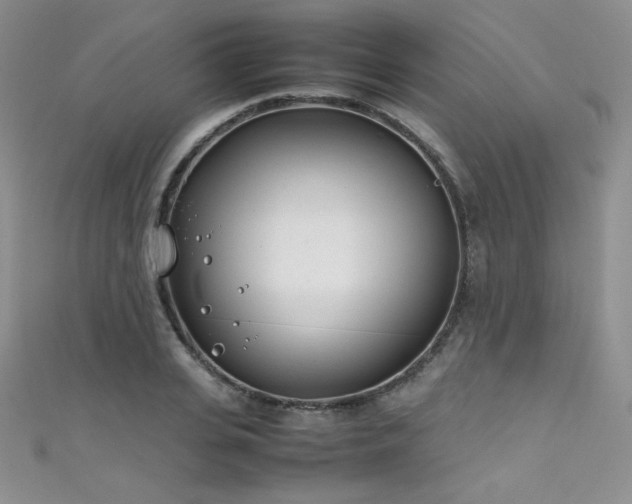 X0000111490935200907141236