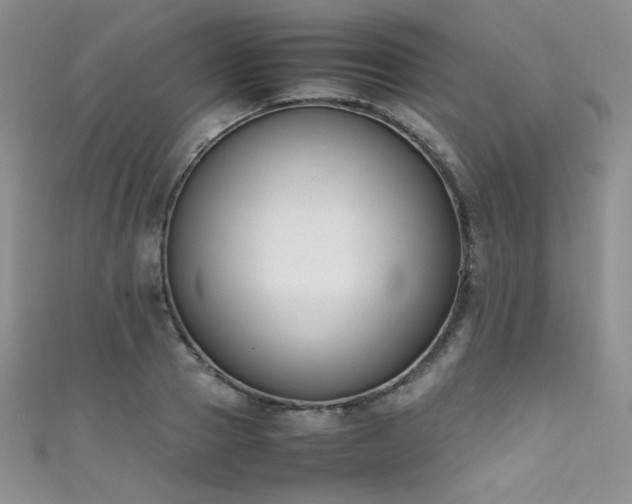 X0000111490937200907141236