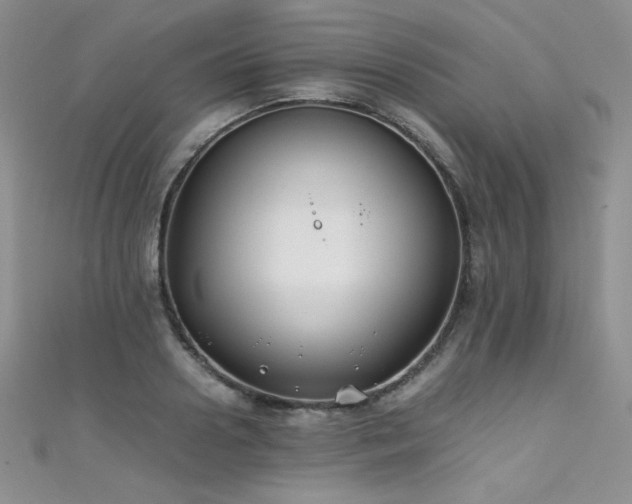 X0000111490938200907141236