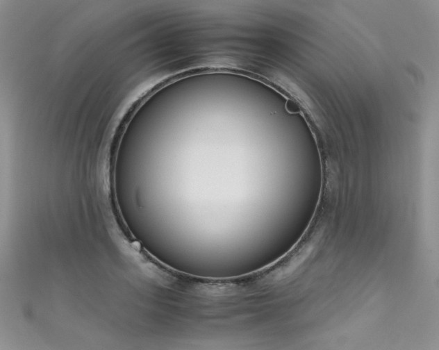 X0000111490939200907141236
