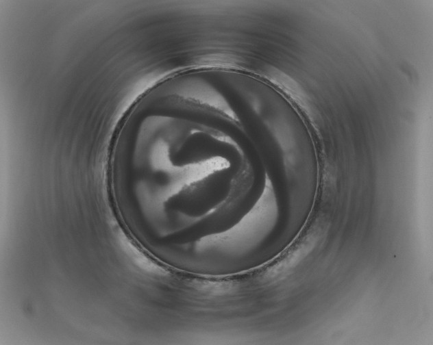 X0000111490941200907141236