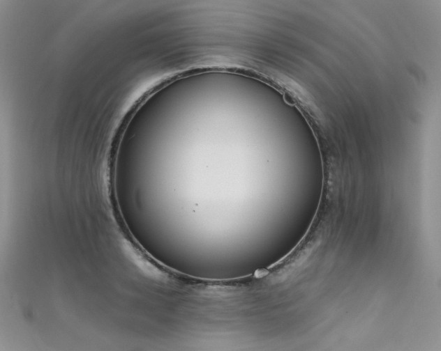 X0000111490942200907141236