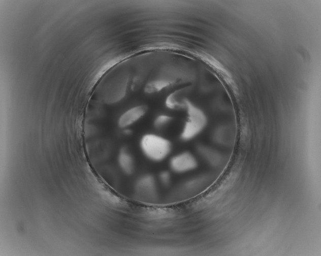 X0000111490945200907141236