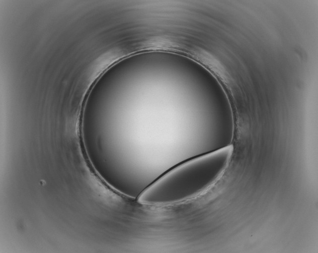 X0000111490946200907141236