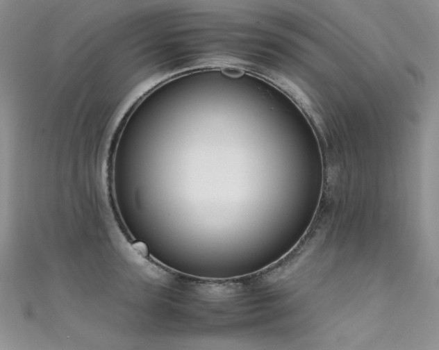 X0000111490947200907141236
