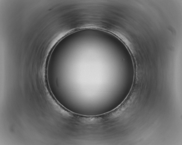 X0000111490949200907141236