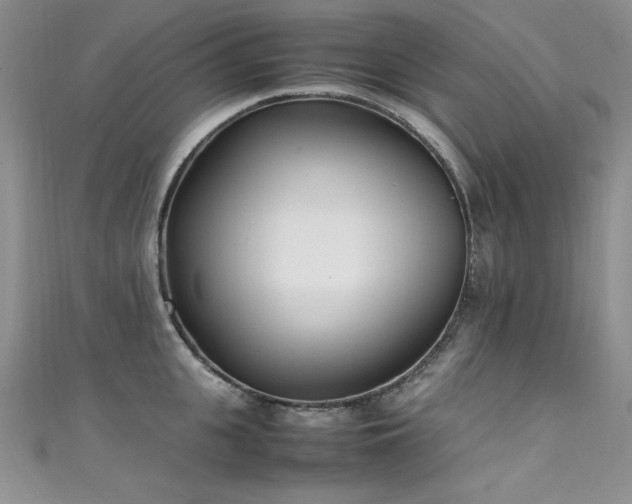 X0000111490951200907141236