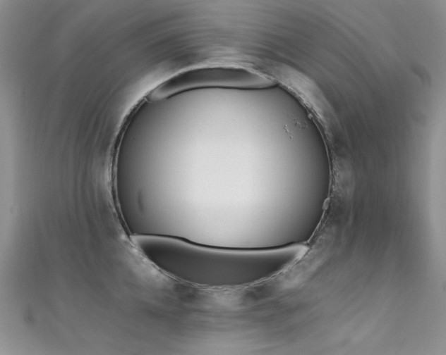 X0000111490952200907141236