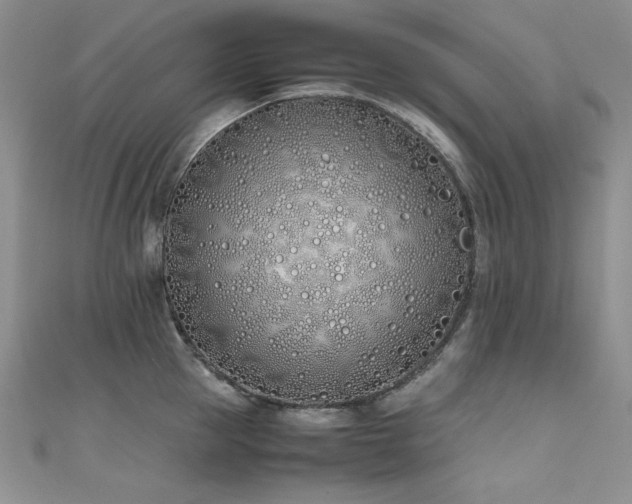 X0000111490953200907141236