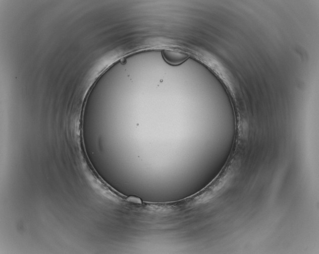 X0000111490954200907141236