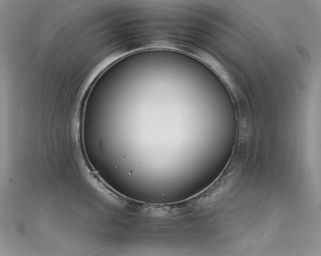 X0000111490955200907141236