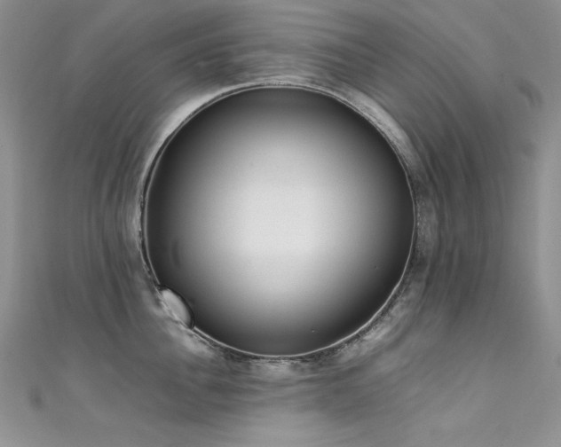X0000111490956200907141236