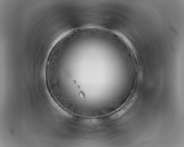 X0000111490957200907141236