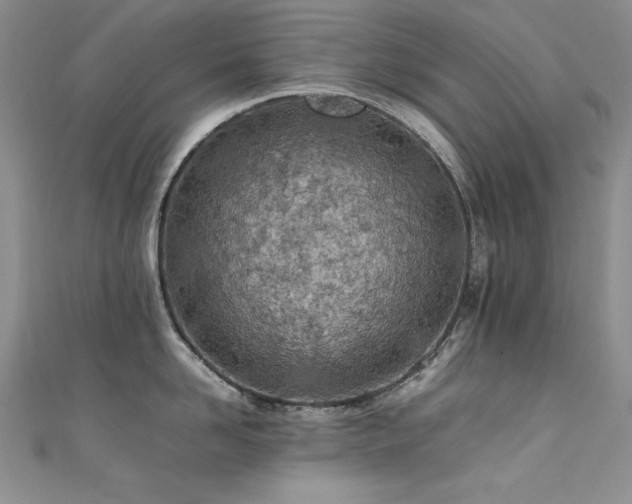 X0000111490958200907141236