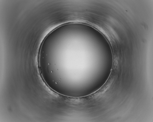 X0000111490959200907141236