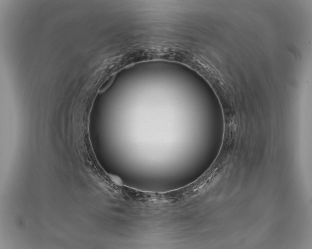 X0000111490961200907141235