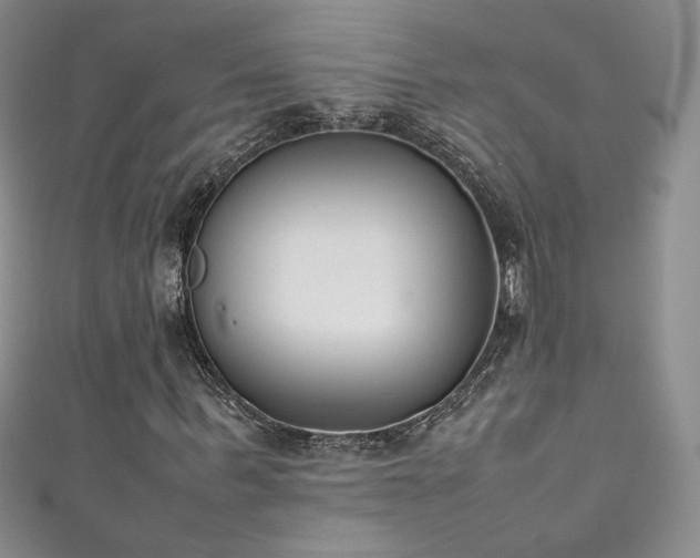 X0000111490963200907141235
