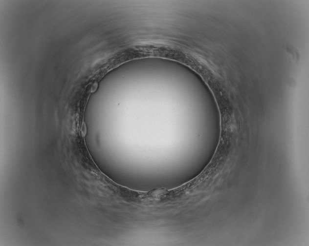 X0000111490965200907141235