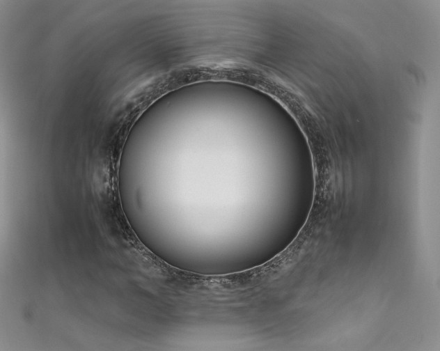 X0000111490966200907141235