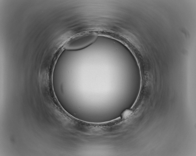 X0000111490969200907141235