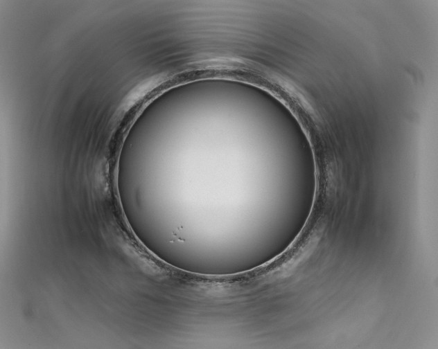 X0000111490970200907141235