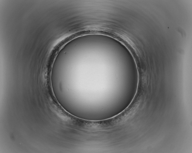 X0000111490971200907141235