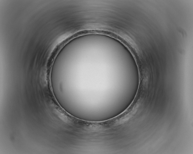X0000111490974200907141235