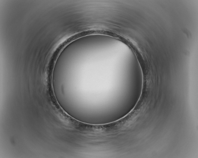 X0000111490975200907141235