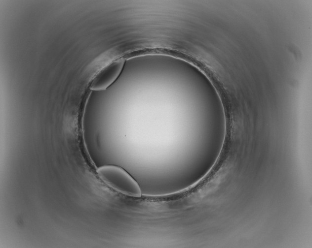 X0000111490977200907141235