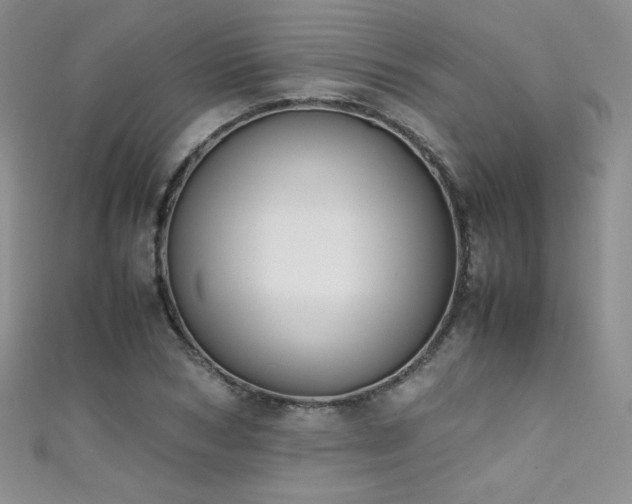 X0000111490978200907141235