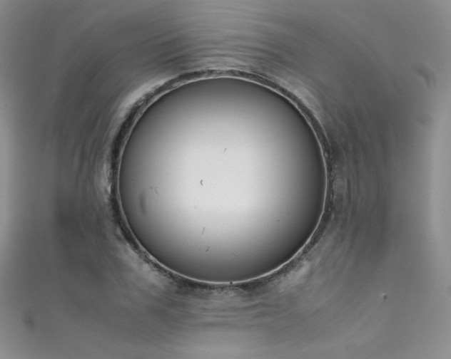 X0000111490979200907141235