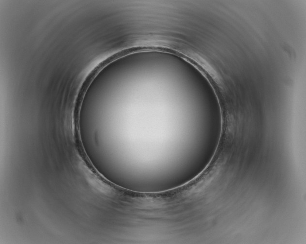X0000111490980200907141235