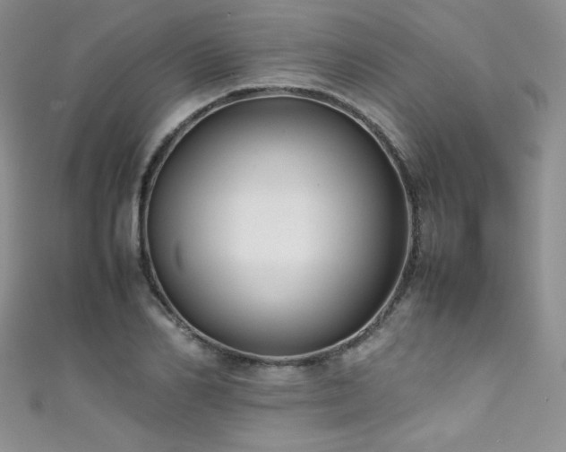 X0000111490982200907141235