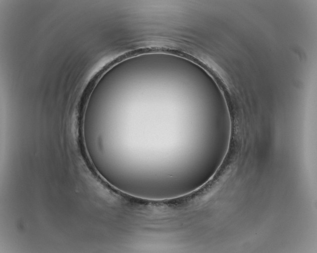 X0000111490983200907141235