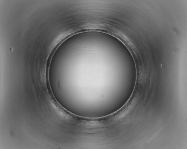 X0000111490986200907141235