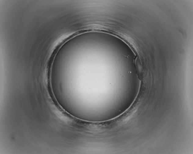 X0000111490987200907141235