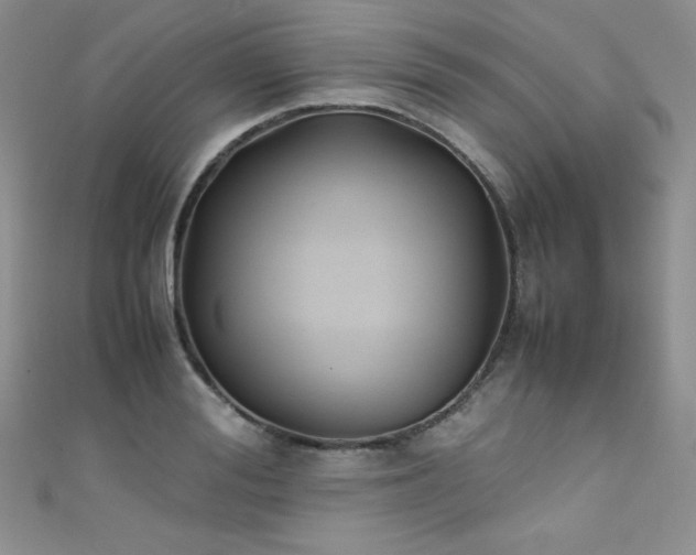 X0000111490988200907141235