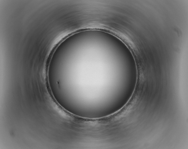 X0000111490990200907141235