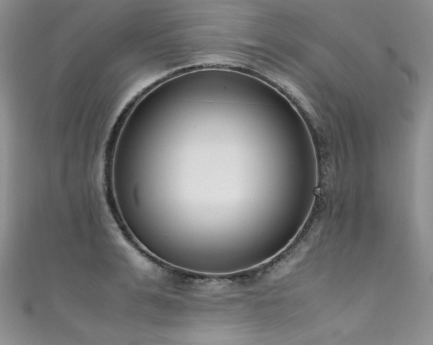 X0000111490991200907141235