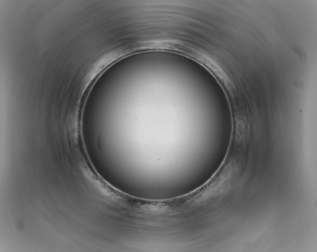 X0000111490994200907141235
