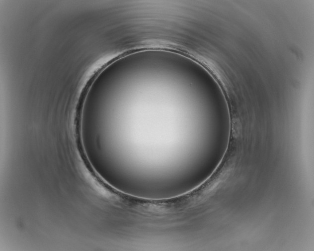 X0000111490995200907141235